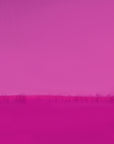 Hot Pink Kurta with Farshi Salwar and Dupatta - Set of 3