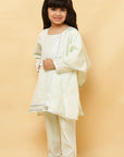 Wheat Light Green Lurex Kurta and shalwar